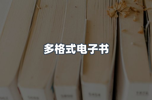 海外电子书
